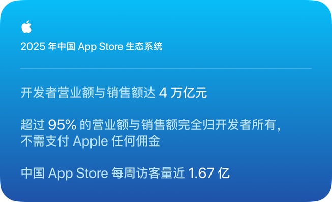 信息图显示 2025 年中国 App Store 生态系统的数据。